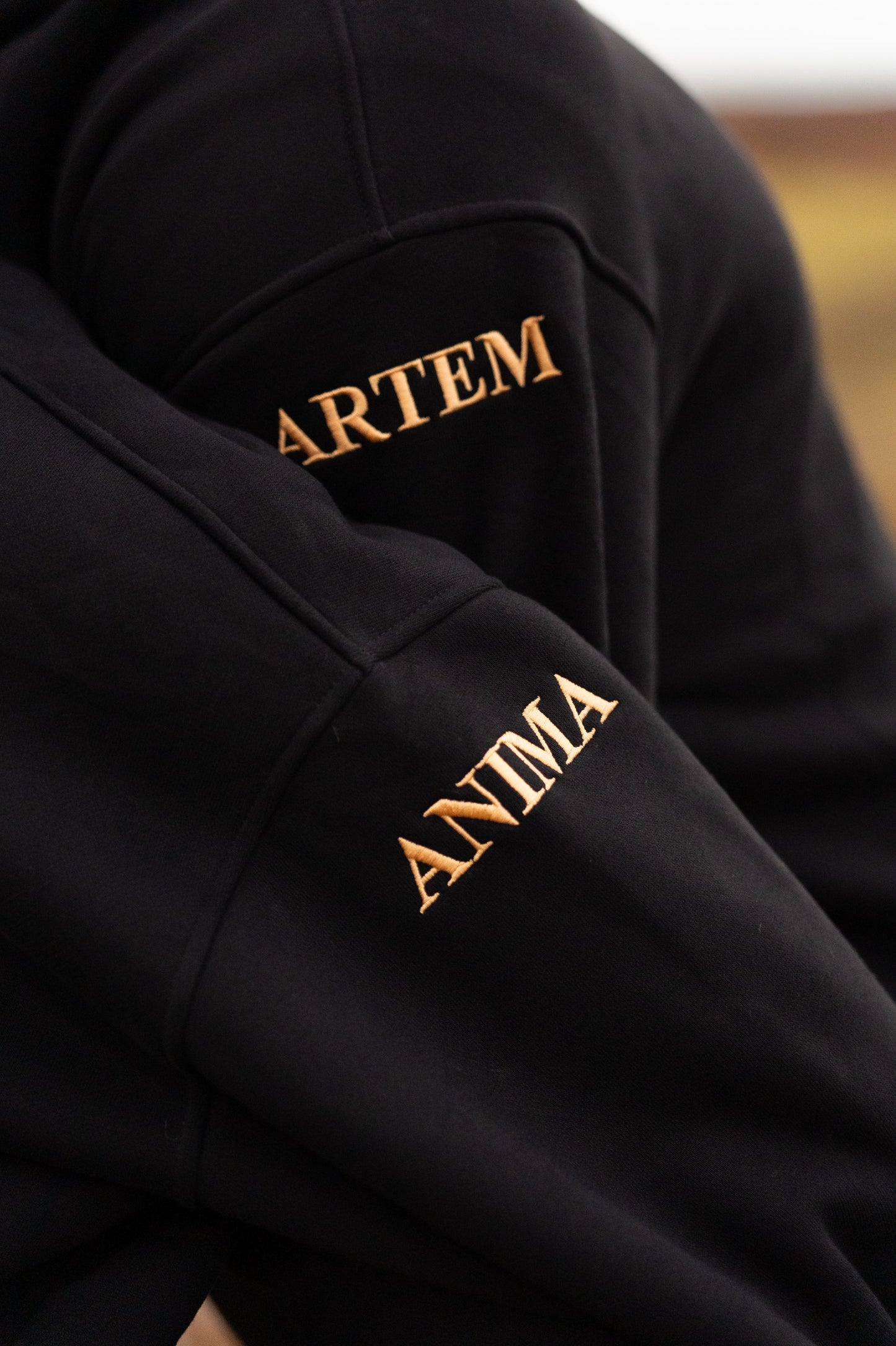 ARTEM ANIMA LUNAR HOODIE